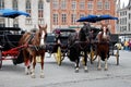 Horse-driven cabs in Bruges Royalty Free Stock Photo