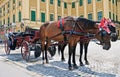 Horse-driven carriage