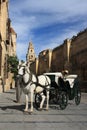 Horse driven carriage in Cordoba