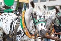 Horse-driven carriage at Hofburg palace, Vienna Royalty Free Stock Photo