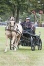 horse driving competition dressage