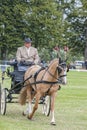 horse driving competition dressage