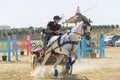 Horse driving trials Royalty Free Stock Photo