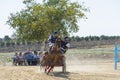 Horse driving trials