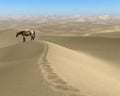 Horse, Dry Desolate Desert Illustration