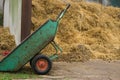 Horse dung Royalty Free Stock Photo