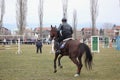 Horse Easter or the day of Todor in Bulgaria Royalty Free Stock Photo