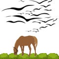 Horse eating grass and birds in the garden illustration