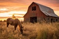 horse eating hay near rustic barn at sunset