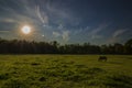 Horse eats in the sun shortly before sunset Royalty Free Stock Photo