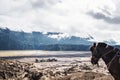 The horse enjoying beautiful view at Mount Bromo, Indonesia Royalty Free Stock Photo
