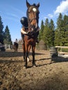 Horse equestrian love and me