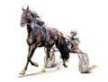 Horse. Equestrian sport. Trotter race. Jockey. Harness racing. Watercolor painting illustration. Hippodrome. Isolated on