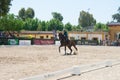 The Horse Fair is a fair that is held every May in Jerez de la Frontera in Cadiz. Spain. May 8, 2022 Royalty Free Stock Photo