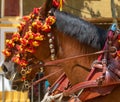 The Horse Fair is a fair that is held every May in Jerez de la Frontera in Cadiz. Spain. May 8, 2022 Royalty Free Stock Photo