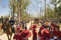 Horse Fair in Jerez, cadiz Spain