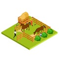 Horse farm 3d isometric vector location isolated