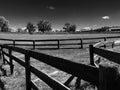 Horse Farm Fences Pasture Trees in Black & White Royalty Free Stock Photo