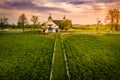 Horse farm in Lexington