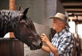 Horse, farm and ranch with mature man in barn or stable for work in agriculture or sustainability. Cowboy, texas or Royalty Free Stock Photo