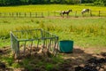 Horse feeder Royalty Free Stock Photo