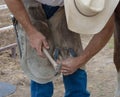 Horse Ferrier Trimming Hooves Royalty Free Stock Photo