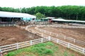 Horse field fence Royalty Free Stock Photo