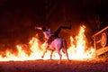 Horse fire show by night