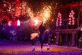 Horse fire show by night