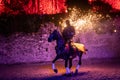 Horse fire show by night