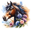 Horse. Flowers. Head. Stallion. Portrait. Watercolor. Isolated illustration on a white background. Banner. Close-up Royalty Free Stock Photo