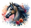 Horse. Flowers. Head. Stallion. Portrait. Watercolor. Isolated illustration on a white background. Banner. Close-up