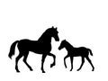 Horse and foal farm mammal black silhouette animal