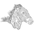 Horse foal head design on the white background