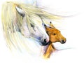 Horse and foal motherhood. background greetings illustration Royalty Free Stock Photo