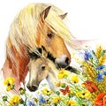 Horse and foal motherhood. background greetings illustration Royalty Free Stock Photo