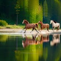 Horse with focus object in wild running and free exotic atmosphere of river and mountain forest