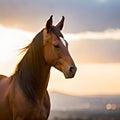 Horse with focus object in wild running and free exotic atmosphere of river and mountain forest