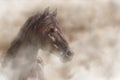 Horse in fog Royalty Free Stock Photo