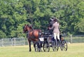 Horse and four wheeled cart.