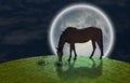 Horse and Full Moon Royalty Free Stock Photo