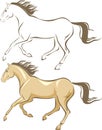 Horse gallop