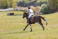 Portrait of horse gallop during eventing competition