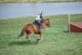 Horse galloping cross-country competition in spring