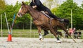 Horse galloping with rider on course Royalty Free Stock Photo