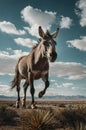 Majestic Mule Galloping Freely Across the Desert Landscape Under a Cloudy Blue Sky Royalty Free Stock Photo