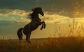 A horse gallops freely, its spirited form caught in the warm glow of the setting sun amidst a field shining with golden