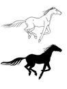 The horse gallops. Line drawing and silhouette of a galloping horse.