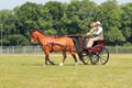 Horse and gig or Pony and trap. Royalty Free Stock Photo