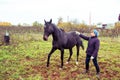 Horse and girl outdoors